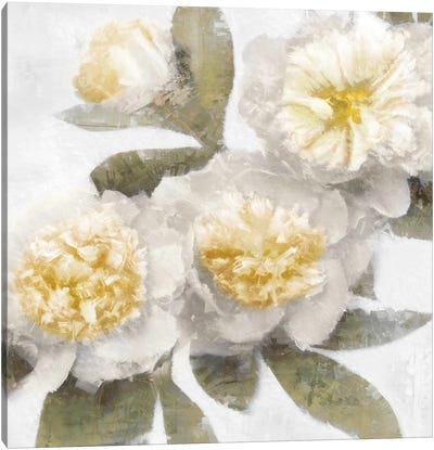 Ivory Bloom Canvas Art Print