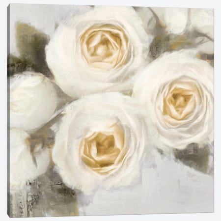 Ivory I Canvas Print #EFO15} by Emily Ford Canvas Art