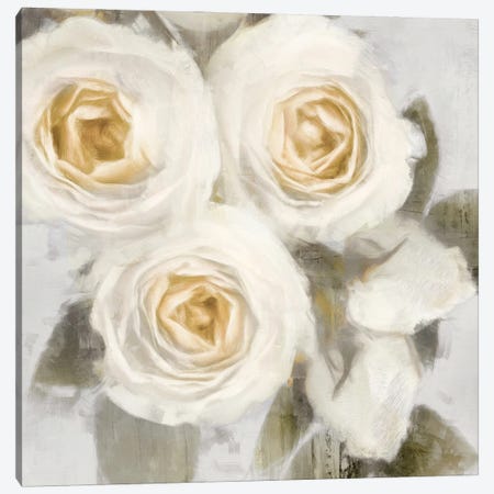 Ivory II Canvas Print #EFO16} by Emily Ford Canvas Wall Art