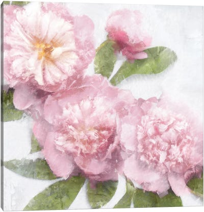 Pink Bloom I Canvas Art Print