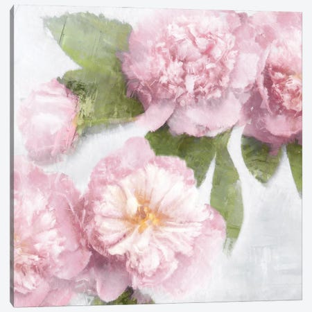 Pink Bloom II Canvas Print #EFO18} by Emily Ford Art Print
