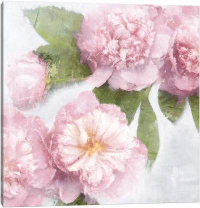 Pink Bloom II Canvas Art Print