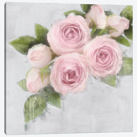 Pretty Pink Canvas Print #EFO19} by Emily Ford Canvas Art Print