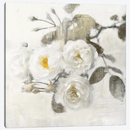 Delicate I Canvas Print #EFO3} by Emily Ford Canvas Artwork