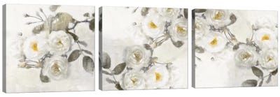Delicate Diptych Canvas Art Print