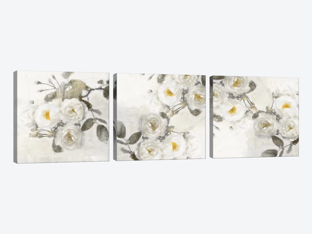 Delicate Diptych by Emily Ford 3-piece Canvas Print