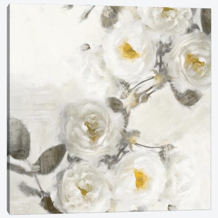 Delicate II Canvas Print #EFO4} by Emily Ford Art Print