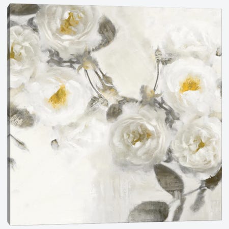 Delicate III Canvas Print #EFO5} by Emily Ford Canvas Art Print