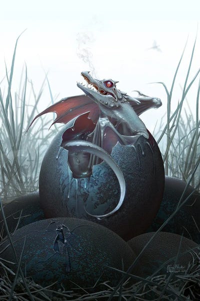 Dragons: Hatchling by Eran Fowler