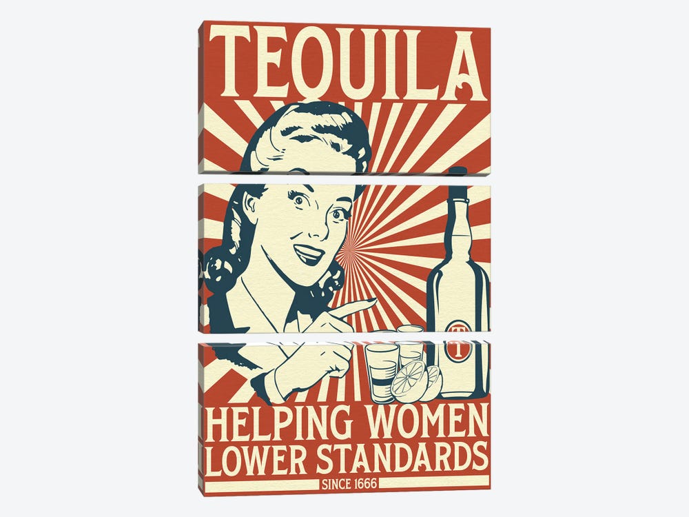 Tequila - Making Women Lower Standards by Emmi Fox Designs 3-piece Canvas Art