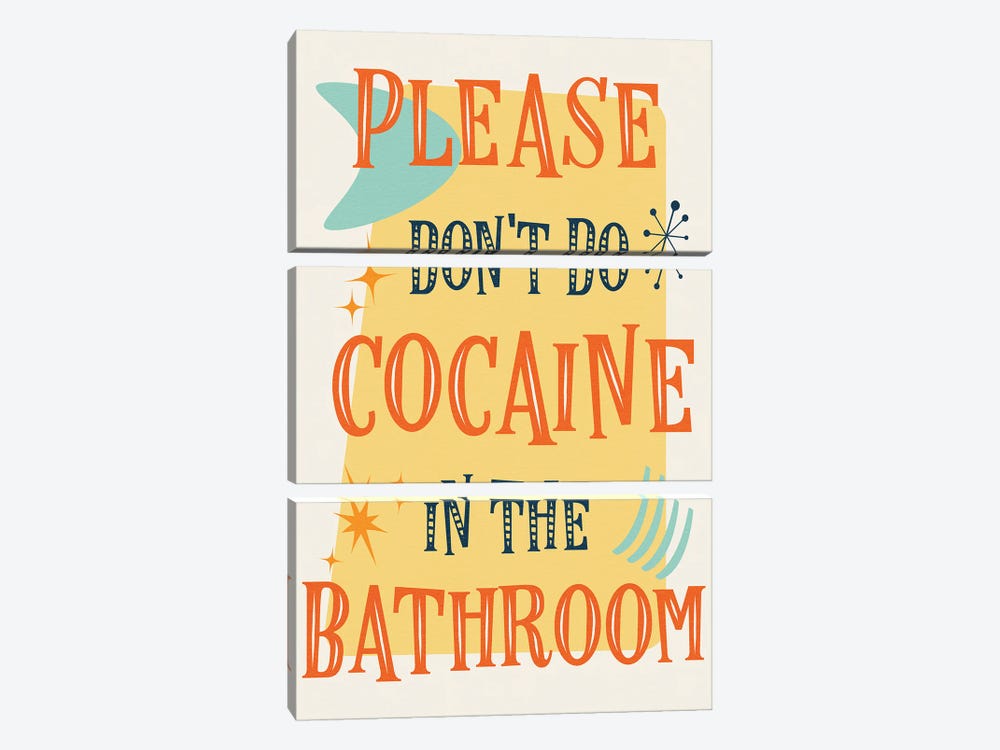 Please Don't Do Cocaine by Emmi Fox Designs 3-piece Art Print