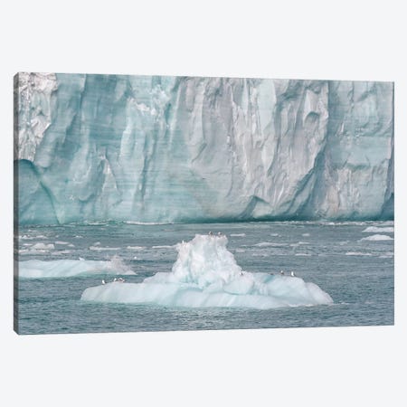 Svalbard, Nordaustlandet Island. A Small Iceberg That Calved From The Glacier Provided A Resting Spot For Birds. Canvas Print #EGO122} by Ellen Goff Canvas Print