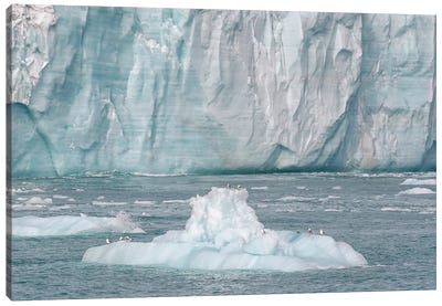 Svalbard, Nordaustlandet Island. A Small Iceberg That Calved From The Glacier Provided A Resting Spot For Birds. Canvas Art Print