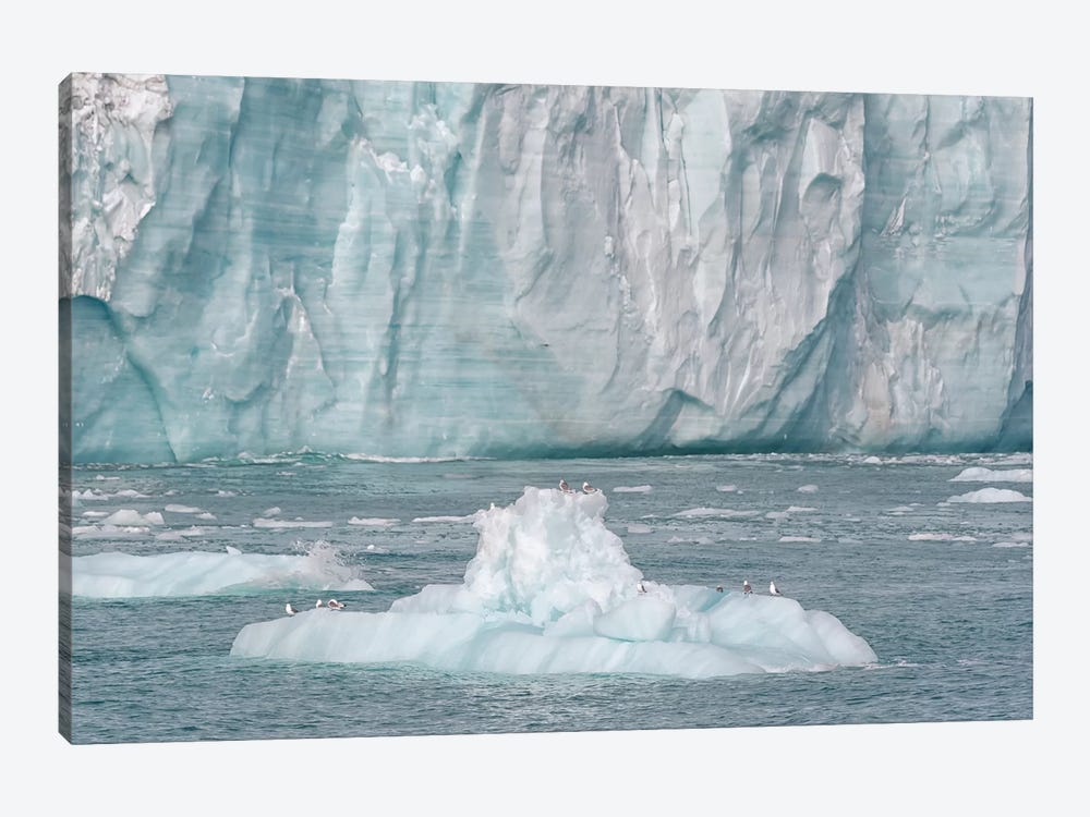Svalbard, Nordaustlandet Island. A Small Iceberg That Calved From The Glacier Provided A Resting Spot For Birds. by Ellen Goff 1-piece Canvas Wall Art