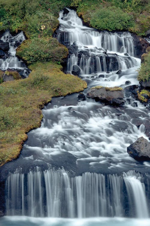 Iceland, Hraunfossar. Tiny cascades emerge from the lava to flow into the Hvita River over a half mile stretch.