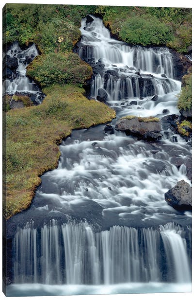 Iceland, Hraunfossar. Tiny cascades emerge from the lava to flow into the Hvita River over a half mile stretch. Canvas Art Print