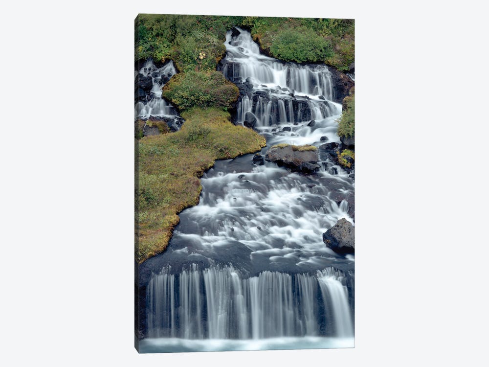 Iceland, Hraunfossar. Tiny cascades emerge from the lava to flow into the Hvita River over a half mile stretch. by Ellen Goff 1-piece Canvas Print