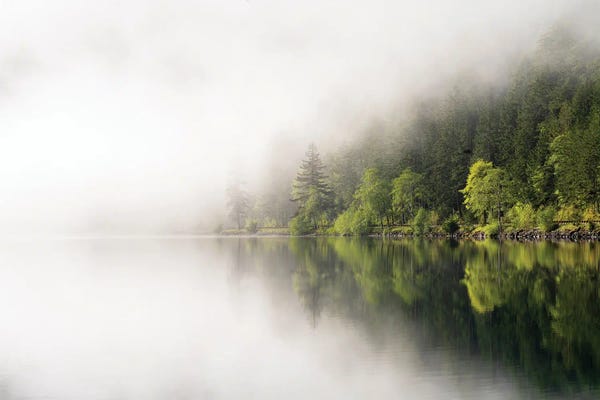 Ellen Goff: USA, Washington State, Olympic National Park, Crescent Lake. Fog Obscures Some Of Crescent Lake. by Ellen Goff