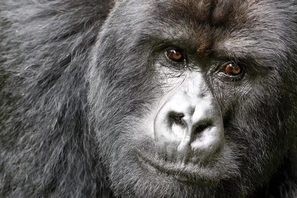 Rwanda