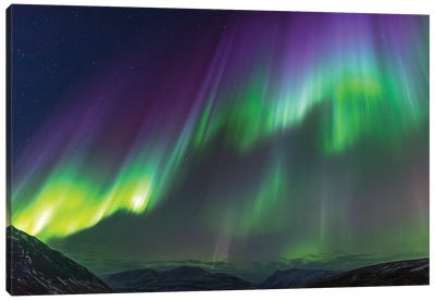 Iceland, Akureyri. Northern Lights glowing V Canvas Art Print - Iceland Art