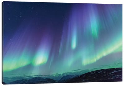 Iceland, Akureyri. Northern Lights glowing VI Canvas Art Print - Iceland Art