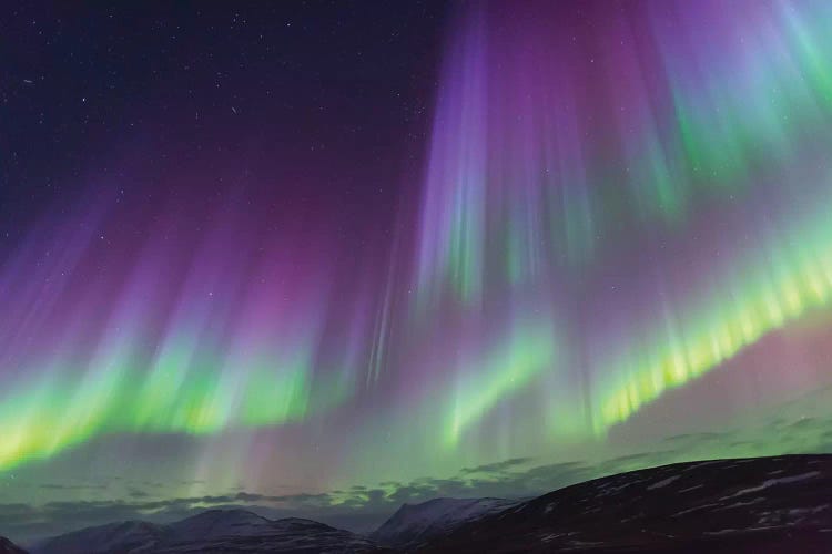 Iceland, Akureyri. The northern lights glow in unbelievable colors II