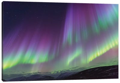 Iceland, Akureyri. The northern lights glow in unbelievable colors II Canvas Art Print