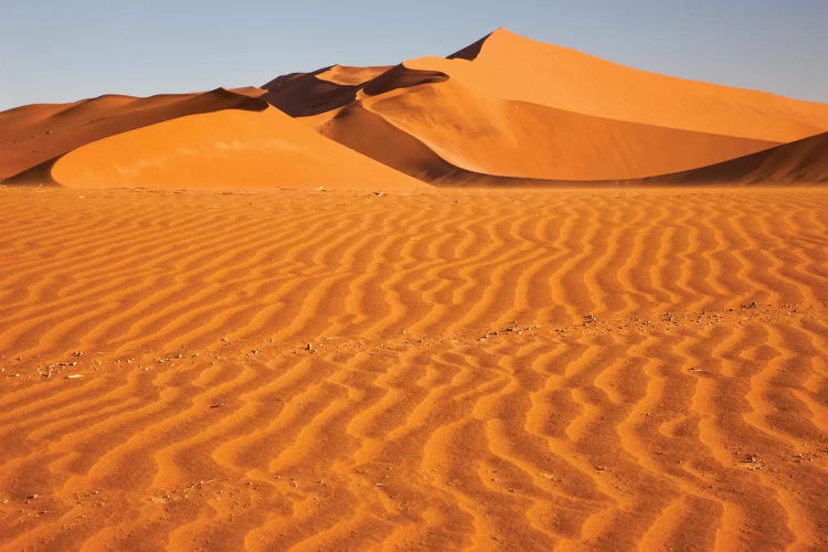 Namibia, Namib-Naukluft National Park, Sossusvlei. Scenic red dunes with wind driven patterns.