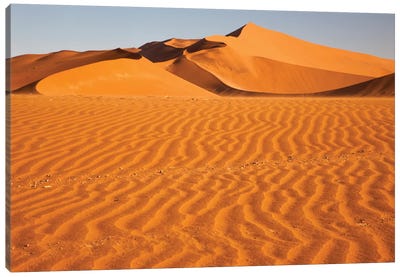 Namibia, Namib-Naukluft National Park, Sossusvlei. Scenic red dunes with wind driven patterns. Canvas Art Print - Namibia