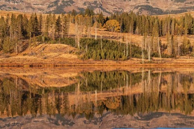 Usa, Wyoming, Yellowstone National Park. Swan Flats in autumn at dawn. by Ellen Goff framed canvas print