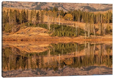 Usa, Wyoming, Yellowstone National Park. Swan Flats in autumn at dawn. Canvas Art Print