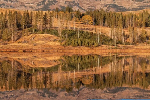 Usa, Wyoming, Yellowstone National Park. Swan Flats in autumn at dawn.