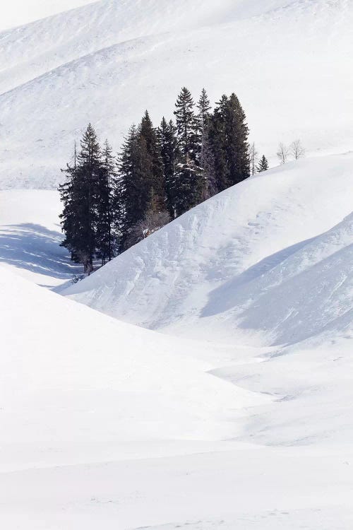 Lamar Valley. Winter Scene Of The Trees Among The Hills. Wyoming, Yellowstone National Park by Ellen Goff wall art