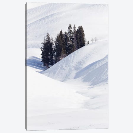 Wyoming, Yellowstone NP, Lamar Valley. Winter scene of the trees among the hills Canvas Print #EGO72} by Ellen Goff Canvas Wall Art