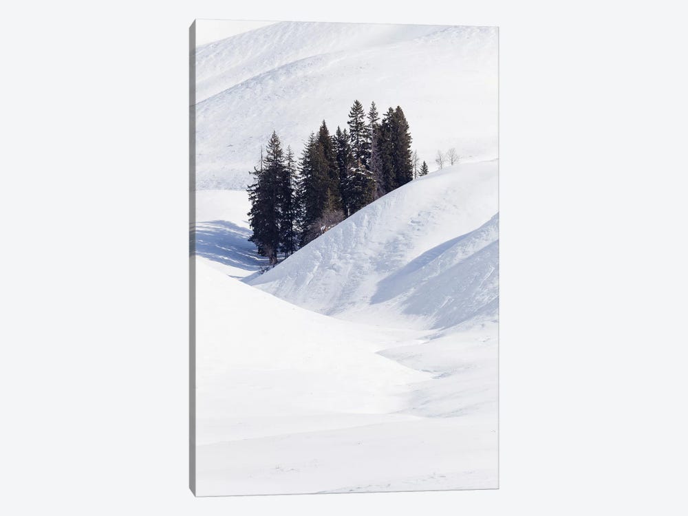 Wyoming, Yellowstone NP, Lamar Valley. Winter scene of the trees among the hills by Ellen Goff 1-piece Canvas Art Print