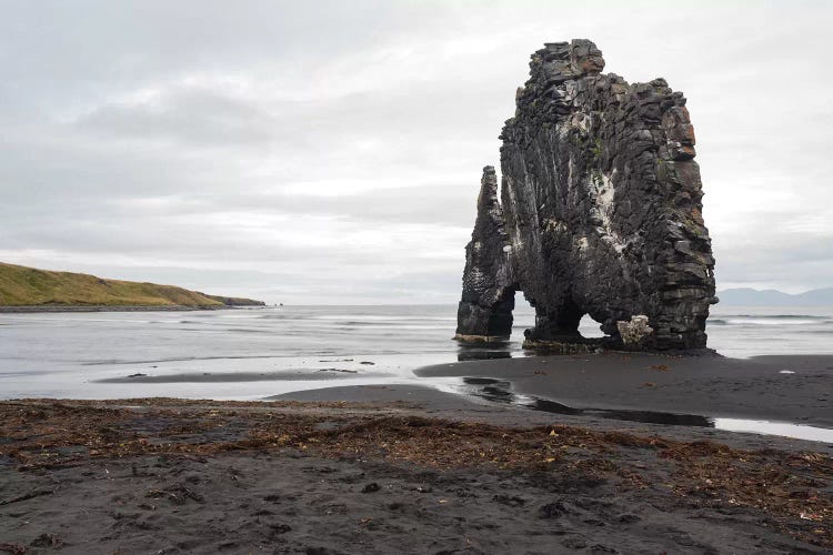 Hvitserkur, A Basalt Sea Stack, Eastern Shore, Vatnsnes Peninsula, Iceland