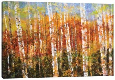 Autumn View Canvas Art Print