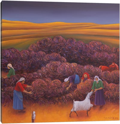 Winnowing Canvas Art Print - Farmer