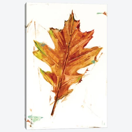 Autumn Leaf Study II Canvas Print #EHA1013} by Ethan Harper Canvas Art Print