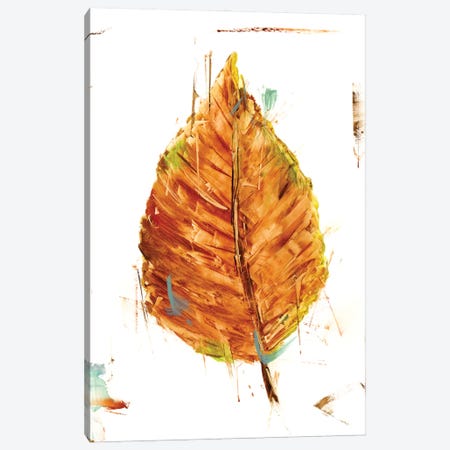 Autumn Leaf Study III Canvas Print #EHA1014} by Ethan Harper Canvas Wall Art