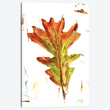 Autumn Leaf Study IV Canvas Print #EHA1015} by Ethan Harper Canvas Artwork