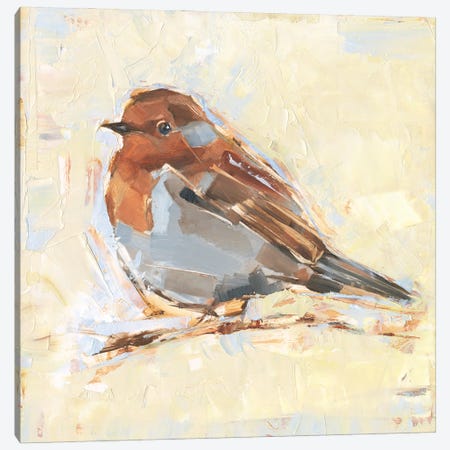 Bird Variety I Canvas Print #EHA1016} by Ethan Harper Canvas Artwork