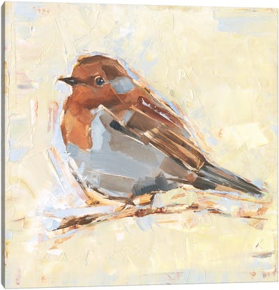 Bird Variety I Canvas Art Print - Ethan Harper
