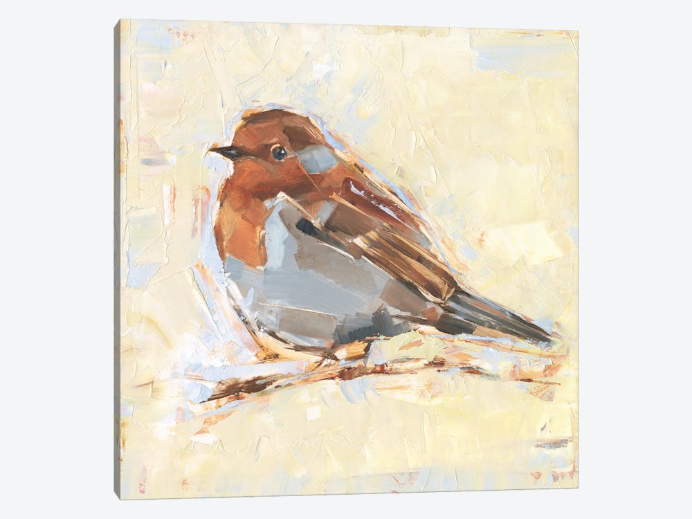 Bird Variety I by Ethan Harper 1-piece Canvas Art Print