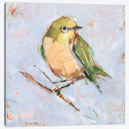 Bird Variety II Canvas Print #EHA1017} by Ethan Harper Canvas Wall Art