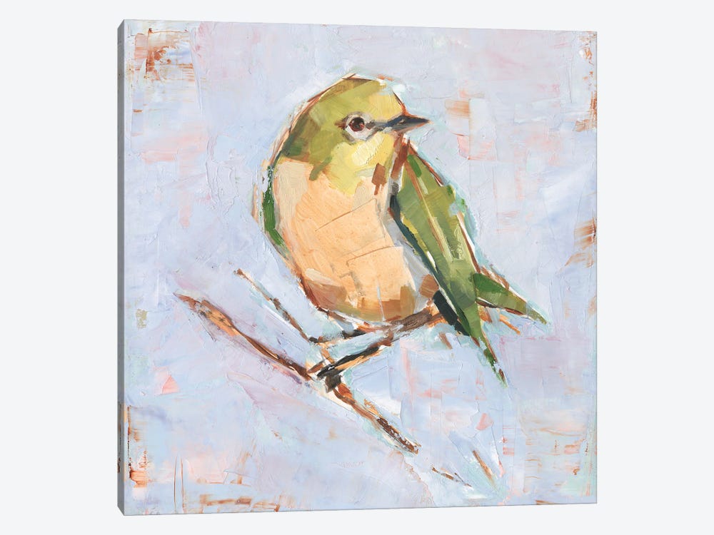 Bird Variety II by Ethan Harper 1-piece Canvas Wall Art