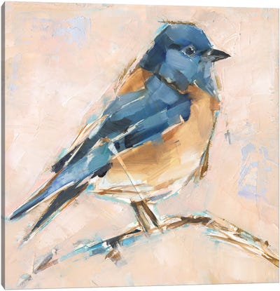Bird Variety III Canvas Art Print - Ethan Harper