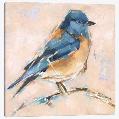 Bird Variety III Canvas Print #EHA1018} by Ethan Harper Art Print