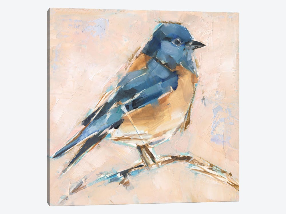 Bird Variety III by Ethan Harper 1-piece Canvas Art Print