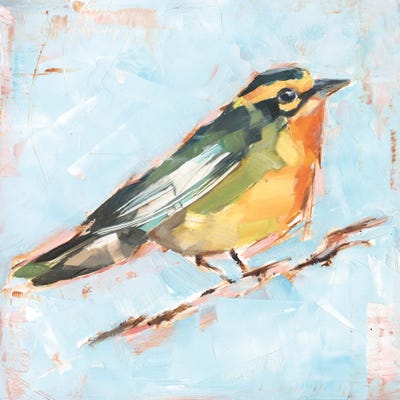 Bird Variety IV by Ethan Harper art print